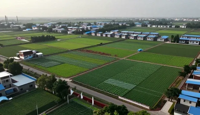 冷链运输保险服务如何助力成本控制